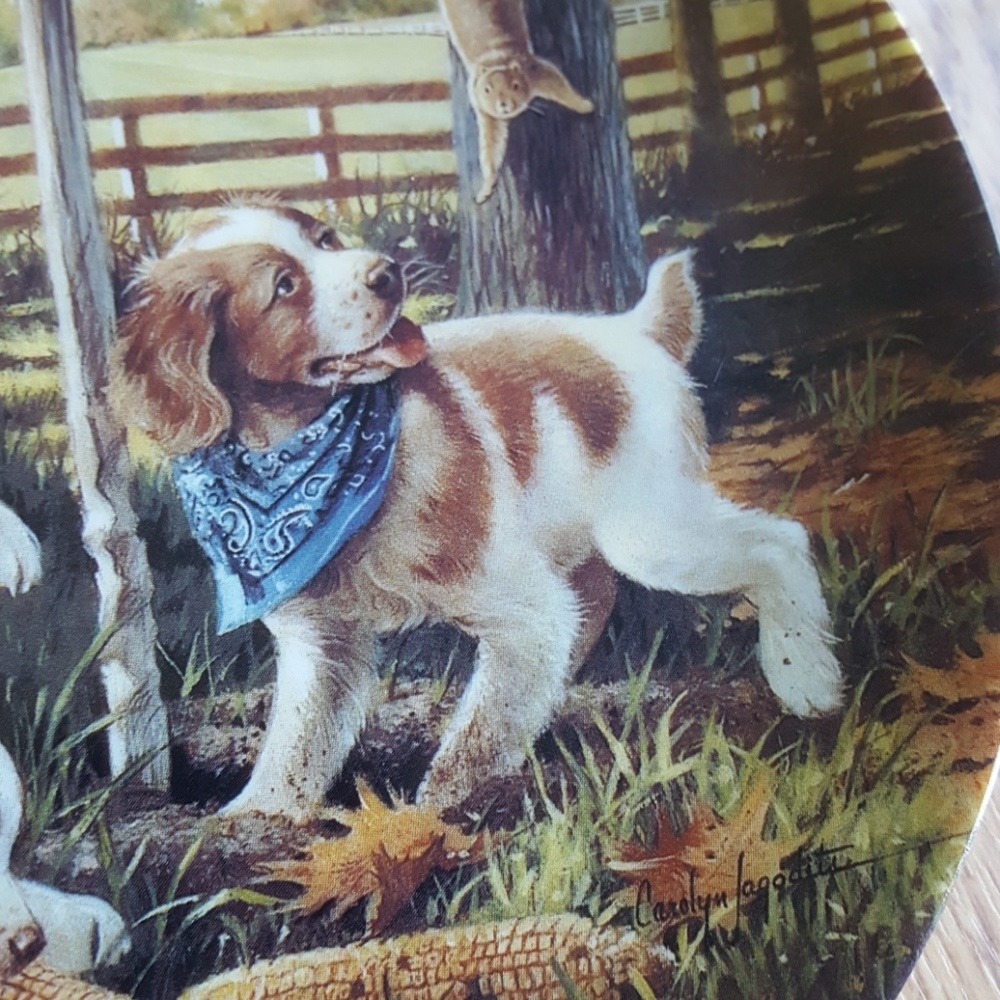 Bradford Ex collectors plate Carolyn Jagodits
